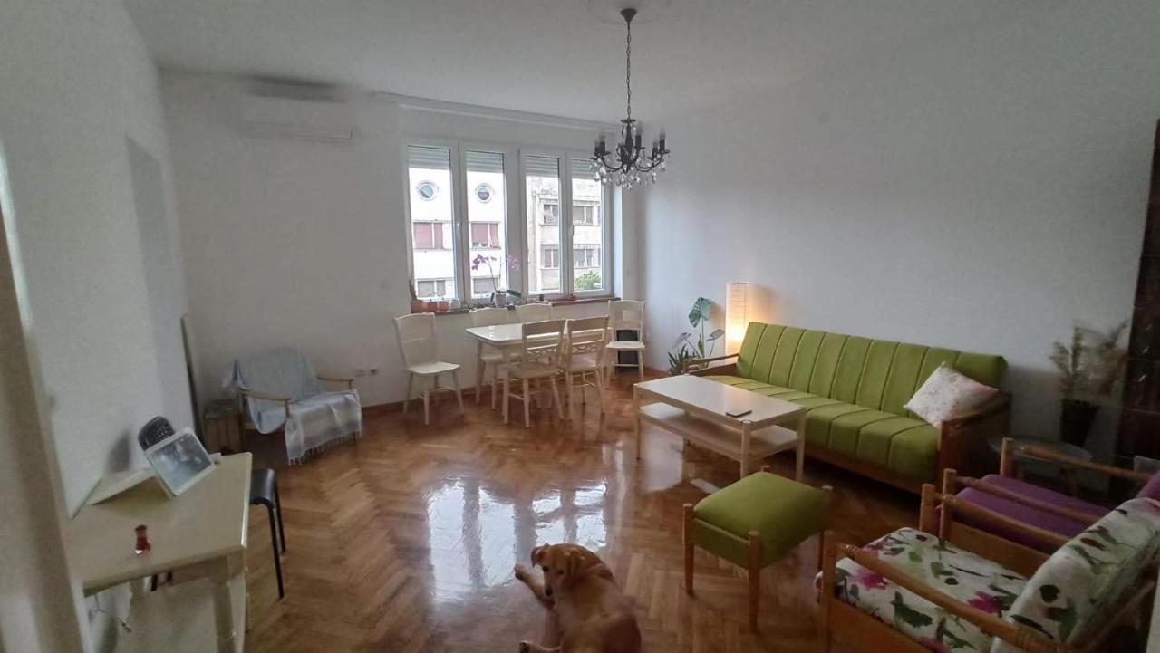 Apartment Hermes Belgrade Exterior photo
